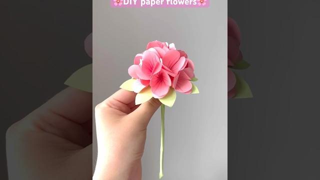 Diy paper flowers Diy paper flowers