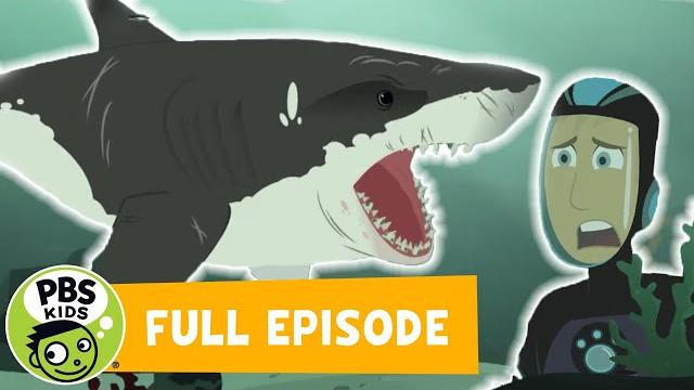 Wild kratts full episode! | stuck on sharks | pbs kids Wild kratts full episode! | stuck on sharks | pbs kids