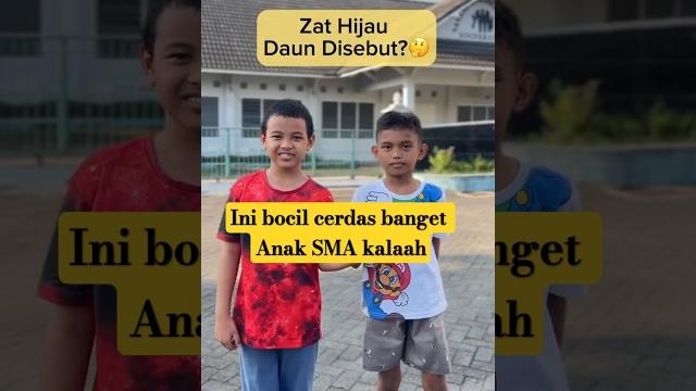Kalau kemarin viral anak sma g tau ibukota di indonesia, liat deh bocil ini keren banget #shortvideo Kalau kemarin viral anak sma g tau ibukota di indonesia, liat deh bocil ini keren banget #shortvideo