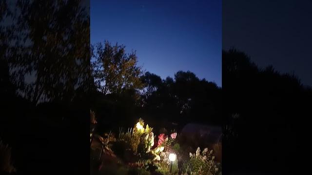 Утро и так хочется тепла любящих рук... Утро и так хочется тепла любящих рук...