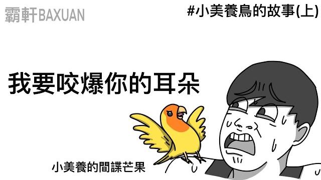 我要咬爆你的耳朵|小美養鳥的故事(上)|霸軒與小美 baxuan & mei 我要咬爆你的耳朵|小美養鳥的故事(上)|霸軒與小美 baxuan & mei