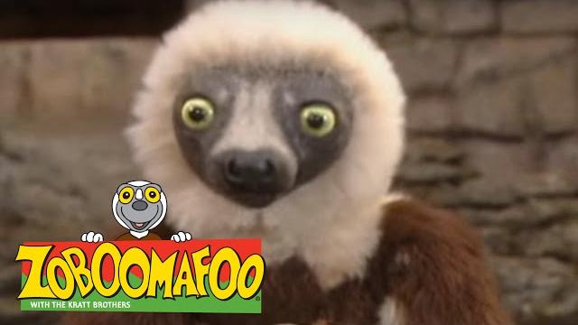 Zoboomafoo 224 - ants and eaters (full episode) Zoboomafoo 224 - ants and eaters (full episode)