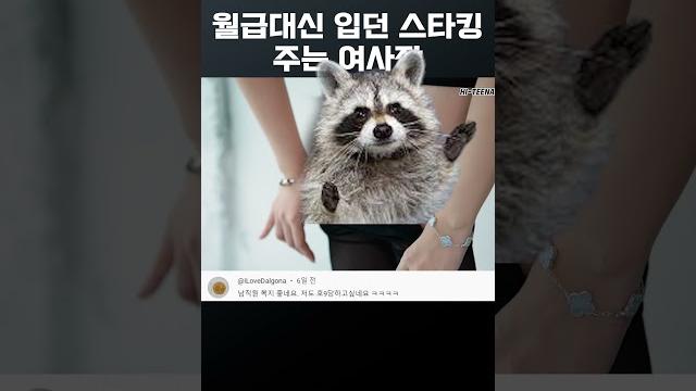 보너스 보너스
