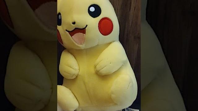 Meet minichu Meet minichu