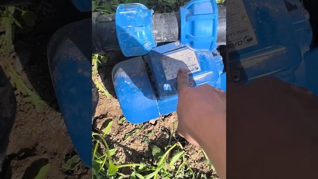 Тамчылатып суугаруу Тамчылатып суугаруу
