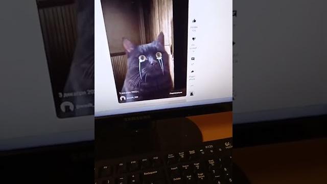 Локи мур переозвучка Локи мур переозвучка