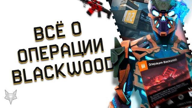 Прохождение операции blackwood в варфейс!сюжет,тактика,советы,баги!как пройти pve блэквуд в warface? Прохождение операции blackwood в варфейс!сюжет,тактика,советы,баги!как пройти pve блэквуд в warface?