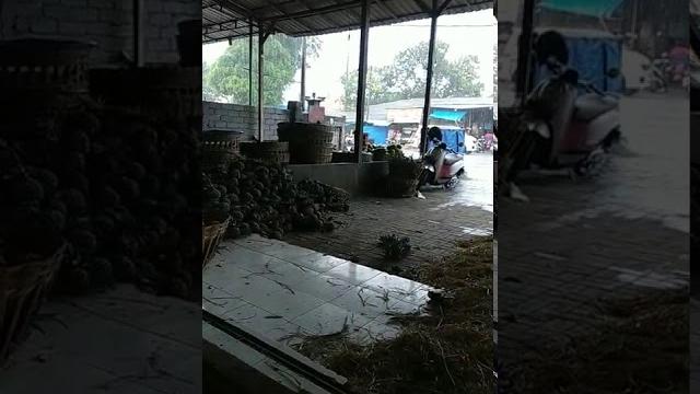 Pejuang lendir Pejuang lendir