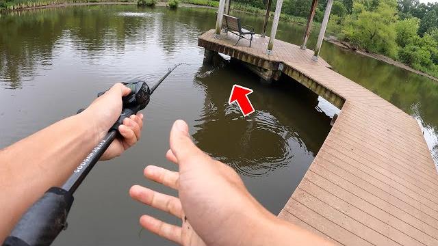 Raw & uncut fishing in my childhood pond!!! (surprise catch) Raw & uncut fishing in my childhood pond!!! (surprise catch)