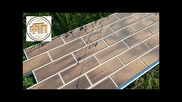 Баварка красивая Баварка красивая