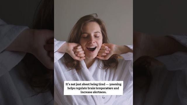 Yawning cools your brain #yawning Yawning cools your brain #yawning