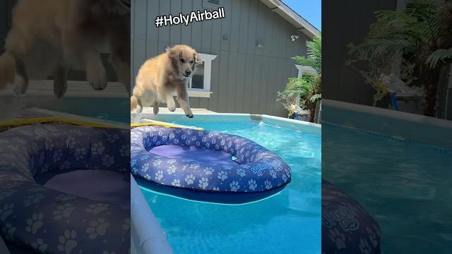 The man. the myth. the meal. #pooltime #holyairball The man. the myth. the meal. #pooltime #holyairball
