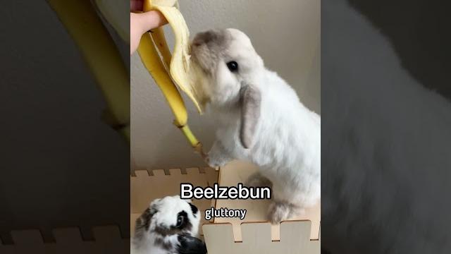 Belial behemoth beelzebun asmodeus satanas lucifer Belial behemoth beelzebun asmodeus satanas lucifer