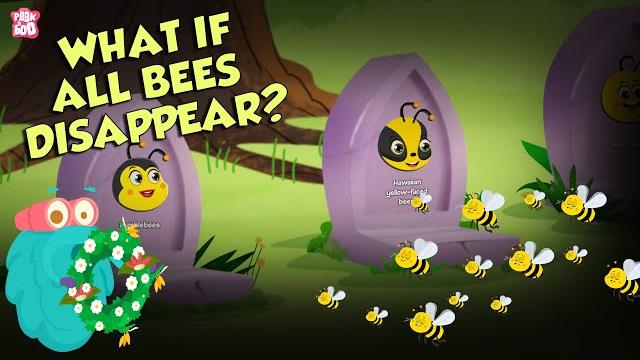 What if all bees disappear? | world without bees | the dr binocs show | peekaboo kidz What if all bees disappear? | world without bees | the dr binocs show | peekaboo kidz