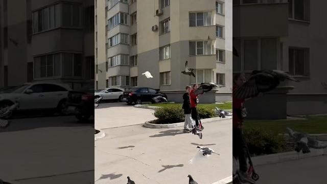 #funny #прикол улетаю на гаити #funny #прикол улетаю на гаити