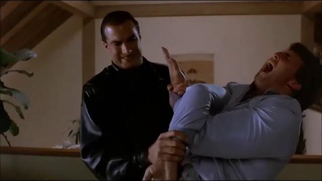 Ultimate steven segal fights Ultimate steven segal fights