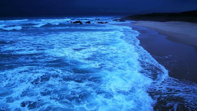 Sleep for 11 hours straight, high quality stereo ocean sounds of rolling waves for deep sleeping Sleep for 11 hours straight, high quality stereo ocean sounds of rolling waves for deep sleeping