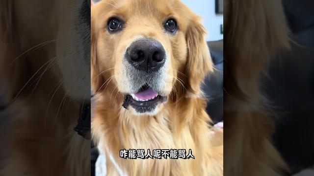 傲娇的小王子#瞧这小眼神 傲娇的小王子#瞧这小眼神