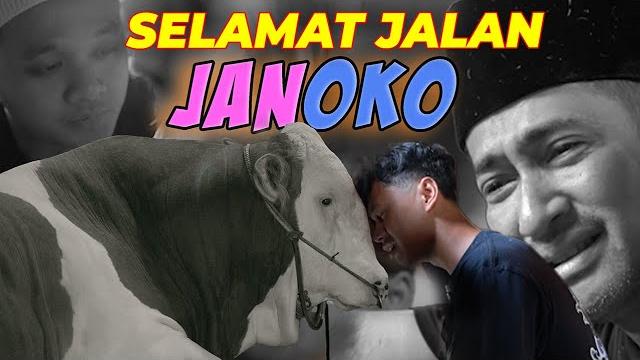 Terimakasih janoko Terimakasih janoko