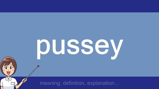 Pussey Pussey