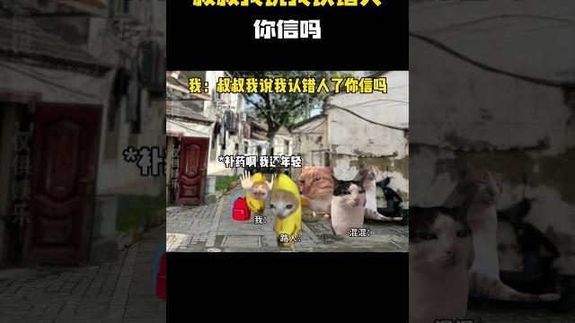 我:叔叔我说我认错人了你信吗 #猫meme #内容过于真实 #funny 我:叔叔我说我认错人了你信吗 #猫meme #内容过于真实 #funny