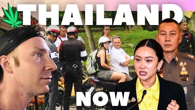 What's happening in thailand now? political crisis, new driving rules & cannabis regulations What's happening in thailand now? political crisis, new driving rules & cannabis regulations