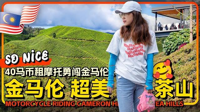 东南亚小欧洲实锤金马伦高原 40块租摩托飞驰金马伦boh茶厂 | 茶山才是最赞美景 东南亚小欧洲实锤金马伦高原 40块租摩托飞驰金马伦boh茶厂 | 茶山才是最赞美景