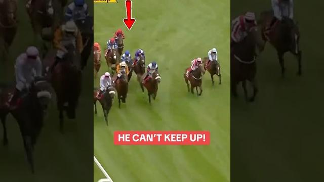 What happens when the horses go too fast? the slow ones pick up the pieces! #horse #horseracing What happens when the horses go too fast? the slow ones pick up the pieces! #horse #horseracing