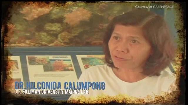Philippine marine biodiversity documentary Philippine marine biodiversity documentary