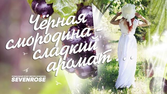 Черная смородина пусть распускаются цветы (версия 2023) sevenrose feat. алевтина бердникова Черная смородина пусть распускаются цветы (версия 2023) sevenrose feat. алевтина бердникова