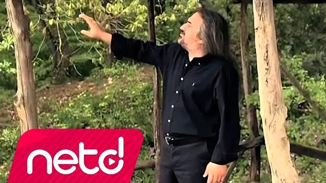 Volkan konak - mimoza çiçeğim Volkan konak - mimoza çiçeğim
