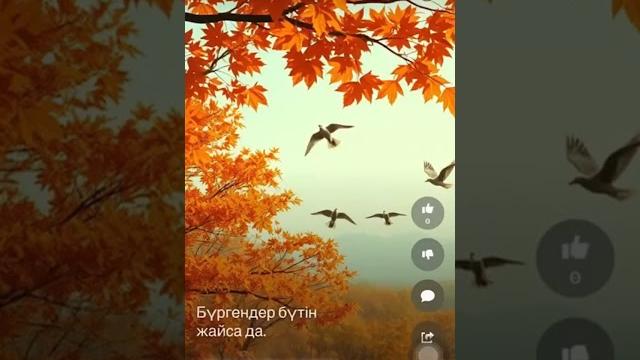 Сағындым достар сендерді Сағындым достар сендерді