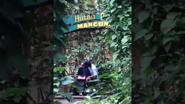 Pacaran di hutan pinus mangunan #viralshorts Pacaran di hutan pinus mangunan #viralshorts
