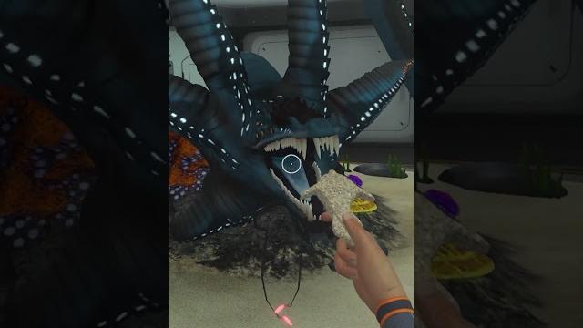 Этот бэби-гаргантюа просто прелесть! / subnautica Этот бэби-гаргантюа просто прелесть! / subnautica
