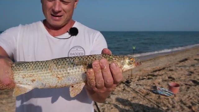 Азовское море рыбалка крупный пеленгас! Азовское море рыбалка крупный пеленгас!