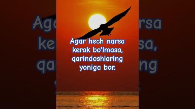 #hayot #pullikolam #oqibat #hayot #pullikolam #oqibat