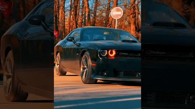 #dodge #dodgechallenger #dodgecharger #додж #вечер #улица #солнце #топ #рекомендации #shorts #dodge #dodgechallenger #dodgecharger #додж #вечер #улица #солнце #топ #рекомендации #shorts