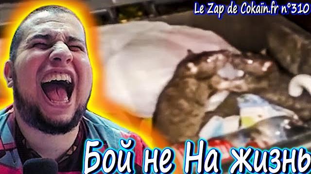 Manyrin смотрит le zap de cokaïn.fr n°310 Manyrin смотрит le zap de cokaïn.fr n°310