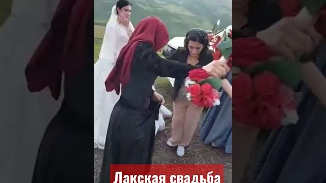 Лакская свадьба Лакская свадьба