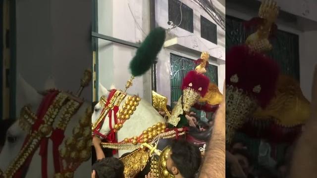 Zuljnah bramdagi lahore ️️ zuljnah #zuljnah #zuljanah #shiastatus #jaloos #viralshortsvideo Zuljnah bramdagi lahore ️️ zuljnah #zuljnah #zuljanah #shiastatus #jaloos #viralshortsvideo