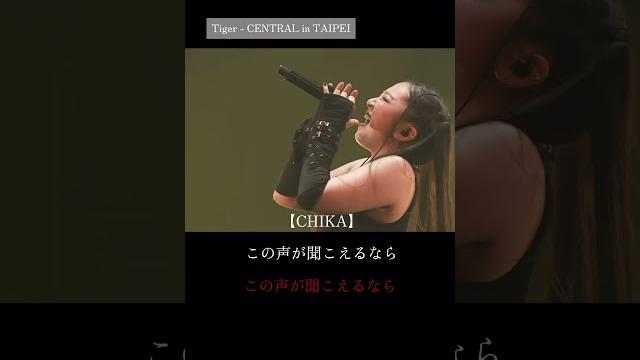 Chika 【tiger - central in taipei】 #hana #chika #shorts Chika 【tiger - central in taipei】 #hana #chika #shorts