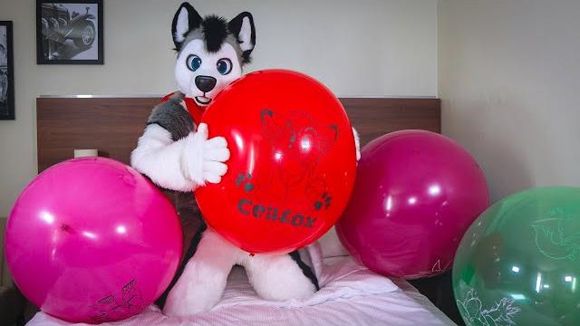 Bounce on furry printed balloons - skeppo - Bounce on furry printed balloons - skeppo -