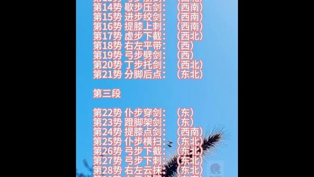 42式太极剑竞赛套路 太极 42式太极剑竞赛套路 定势面向 42式太极剑竞赛套路,也称42式太极剑,由中国武术研究院于1991年组织创编。它博采众长,融合了杨氏、陈氏、吴氏、武当等流派太极剑 42式太极剑竞赛套路 太极 42式太极剑竞赛套路 定势面向 42式太极剑竞赛套路,也称42式太极剑,由中国武术研究院于1991年组织创编。它博采众长,融合了杨氏、陈氏、吴氏、武当等流派太极剑