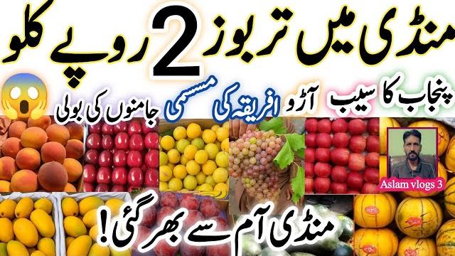 June 13,2025|lahore fruit mandi rates today|watermelon 2 kg|mango hi mango|#viralvideo #fruitlovers June 13,2025|lahore fruit mandi rates today|watermelon 2 kg|mango hi mango|#viralvideo #fruitlovers