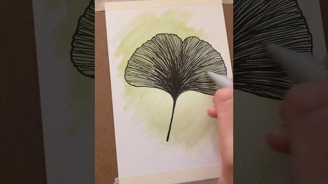 Watercolour & ink botanical drawing: ginkgo leaf#botanicaldrawing #ginkgo #botanicalillustration Watercolour & ink botanical drawing: ginkgo leaf#botanicaldrawing #ginkgo #botanicalillustration