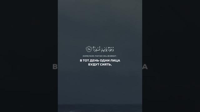 Вот это голос! ма ша аллах Вот это голос! ма ша аллах