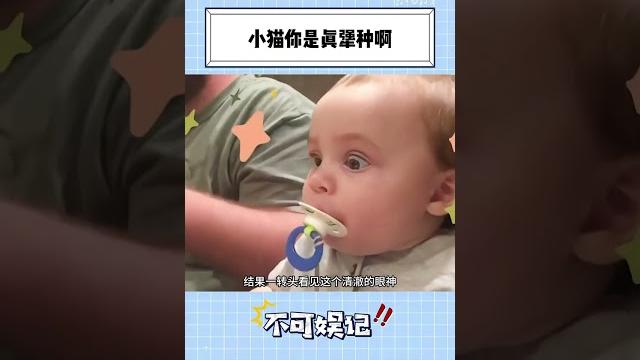 主人喊小猫,小猫就是不回头只往前看 主人喊小猫,小猫就是不回头只往前看