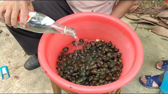 寄生虫你见过吗?把田螺倒入50度白酒中,看见这些寄生虫真后怕 寄生虫你见过吗?把田螺倒入50度白酒中,看见这些寄生虫真后怕