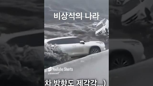 Made in china 비상식의 나라 Made in china 비상식의 나라
