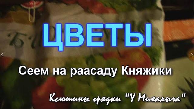 Сеем цветы на рассаду Сеем цветы на рассаду